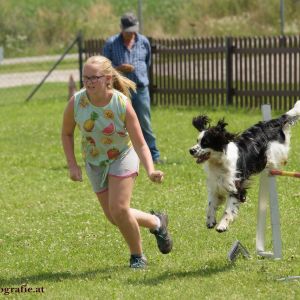 Agility Turnier des ÖSPSC