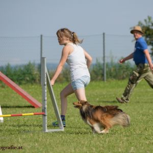 Agility Turnier des ÖSPSC