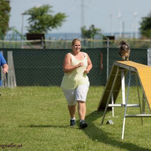 Agility Turnier des ÖSPSC