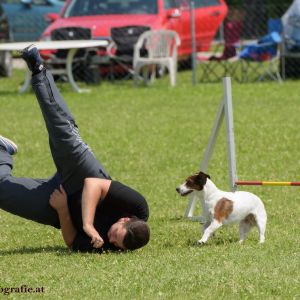 Agility Turnier des ÖSPSC