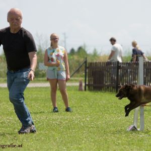 Agility Turnier des ÖSPSC