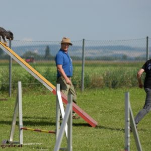 Agility Turnier des ÖSPSC