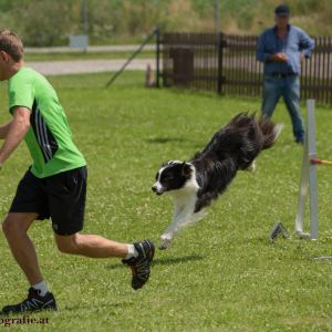 Agility Turnier des ÖSPSC