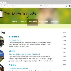 website_pfotenfotografie_3.jpg