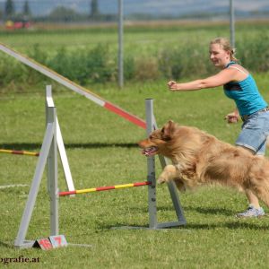 Agility Turnier des ÖSPSC