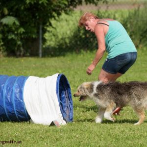 Agility Turnier des ÖSPSC