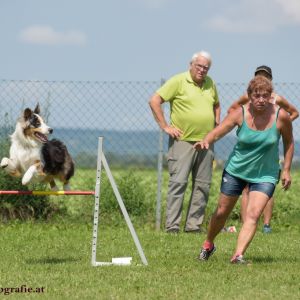 Agility Turnier des ÖSPSC