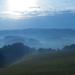 Urlaub mit Hund auf Gut Feuerschwendt