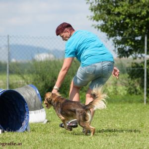 Agility Turnier des ÖSPSC