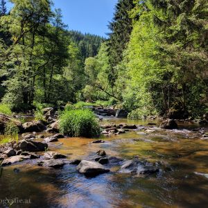 Wandern im Waldviertel