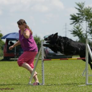 Agility Turnier des ÖSPSC