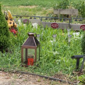 Tierfriedhof Wien