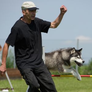 Agility Turnier des ÖSPSC