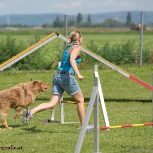 Agility Turnier des ÖSPSC