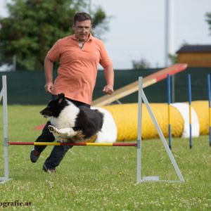 Agility Turnier des ÖSPSC