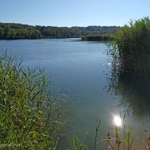 Wienerberg-Teich