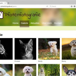 website_pfotenfotografie_2.jpg