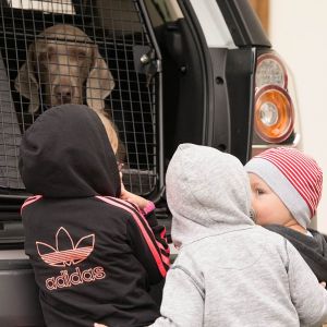 Die Hunde waren natürlich eine Attraktion für die Kinder