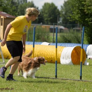 Agility Turnier des ÖSPSC