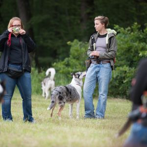 Kurzhaarcollie Treffen in Sulz im Wienerwald