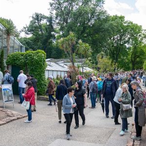 Botanischer Garten der Universität Wien