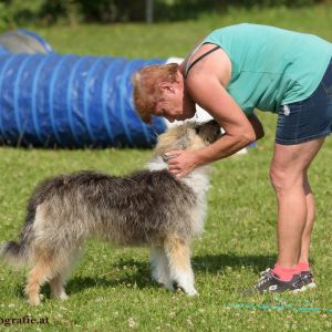 Agility Turnier des ÖSPSC