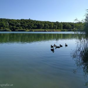 Wienerberg-Teich