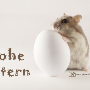 Frohe Ostern