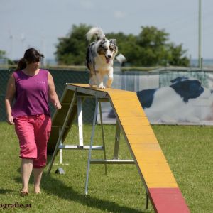 Agility Turnier des ÖSPSC