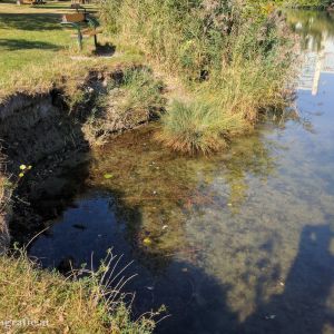 Kaiserwasser