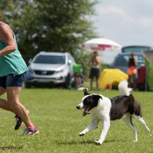 Agility Turnier des ÖSPSC