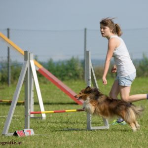 Agility Turnier des ÖSPSC