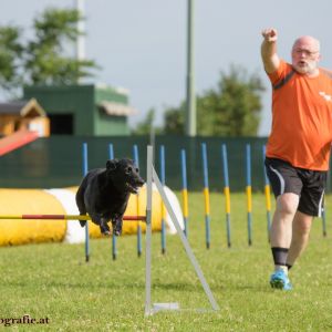 Agility Turnier des ÖSPSC