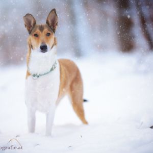 Ronja