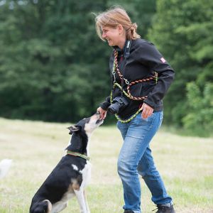 Kurzhaarcollie Treffen in Sulz im Wienerwald