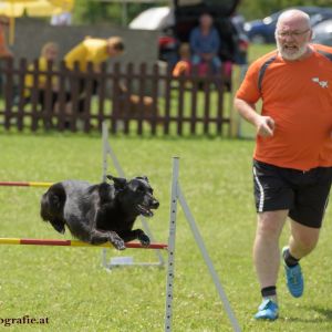 Agility Turnier des ÖSPSC