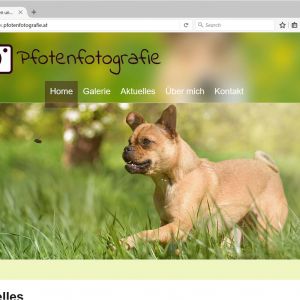 website_pfotenfotografie_1.jpg