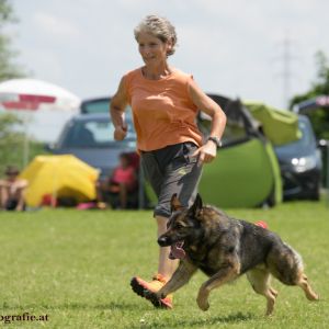 Agility Turnier des ÖSPSC