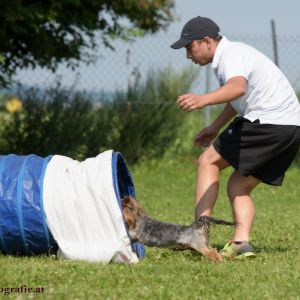 Agility Turnier des ÖSPSC