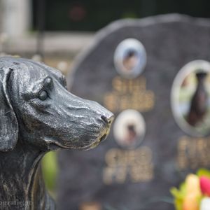 Tierfriedhof Wien