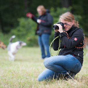 Kurzhaarcollie Treffen in Sulz im Wienerwald