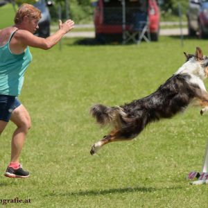 Agility Turnier des ÖSPSC