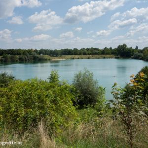 Badeteich Süßenbrunn