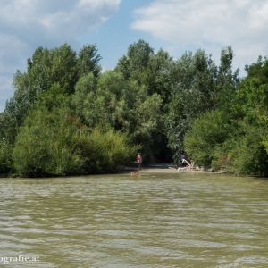 Hundestrand Donauinsel Nord