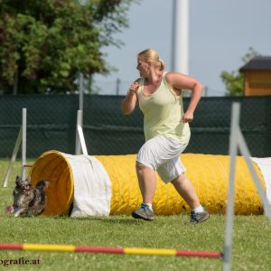 Agility Turnier des ÖSPSC