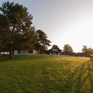 Urlaub mit Hund auf Gut Feuerschwendt