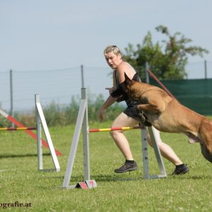 Agility Turnier des ÖSPSC