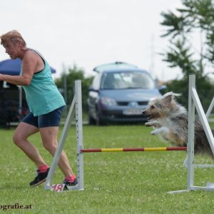 Agility Turnier des ÖSPSC