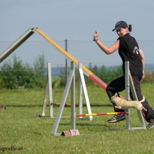 Agility Turnier des ÖSPSC