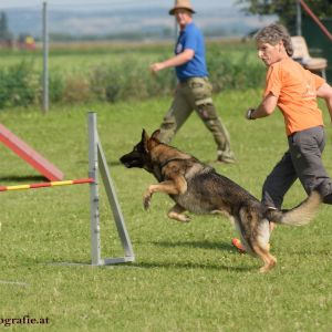 Agility Turnier des ÖSPSC